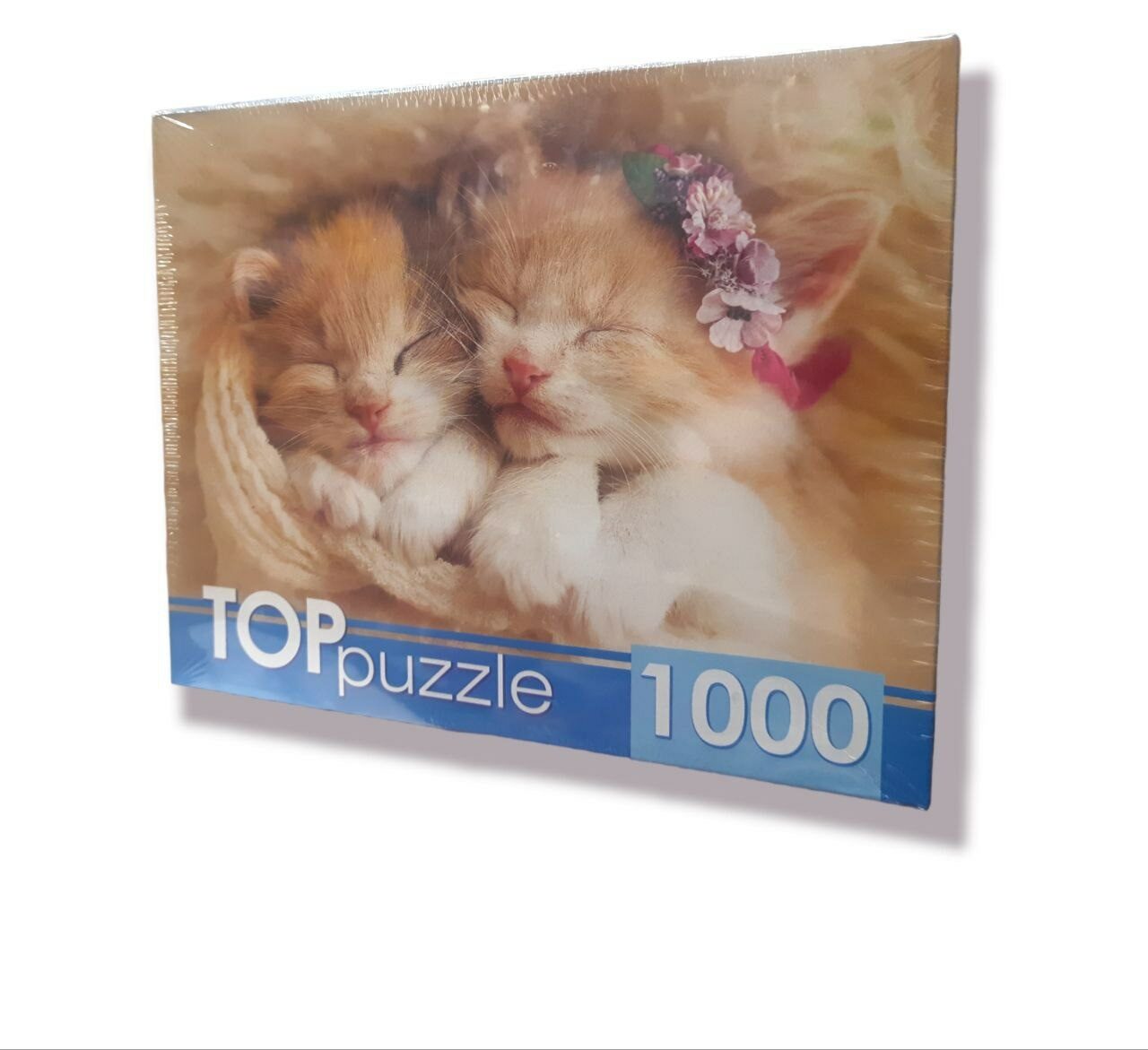 TOPpazzle. ПАЗЛЫ 1000 эл. ГИТП 1000-2142 Два спящих котенка